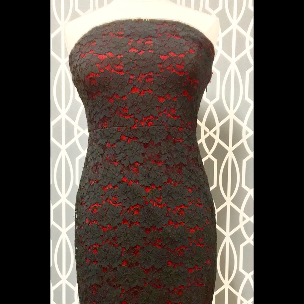 EXPRESS Strapless Lace Cocktail Dress